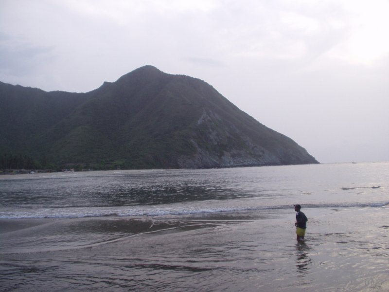 Photograph