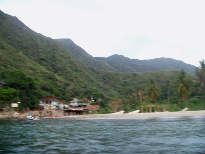 Photograph